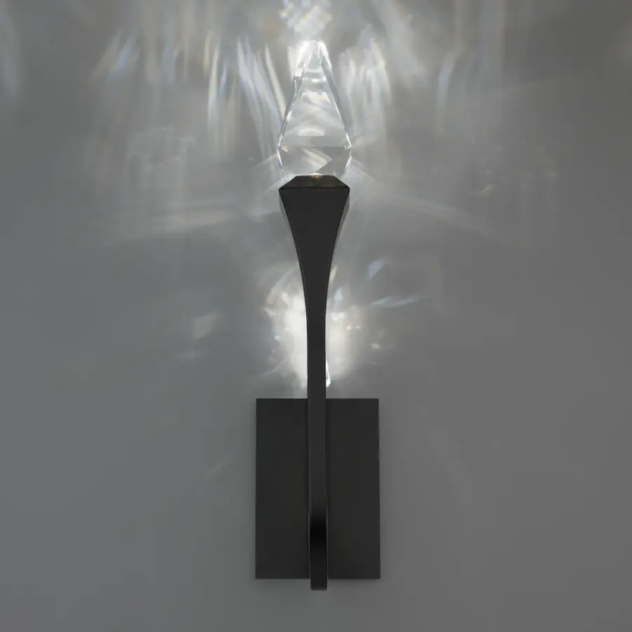Plumeria 23" LED Outdoor Wall Light in Black with Optic Crystal