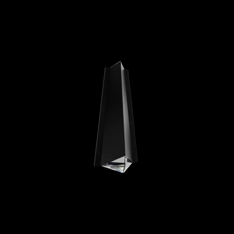 Lanie 16" LED Outdoor Wall Light in Black with Optic Crystal