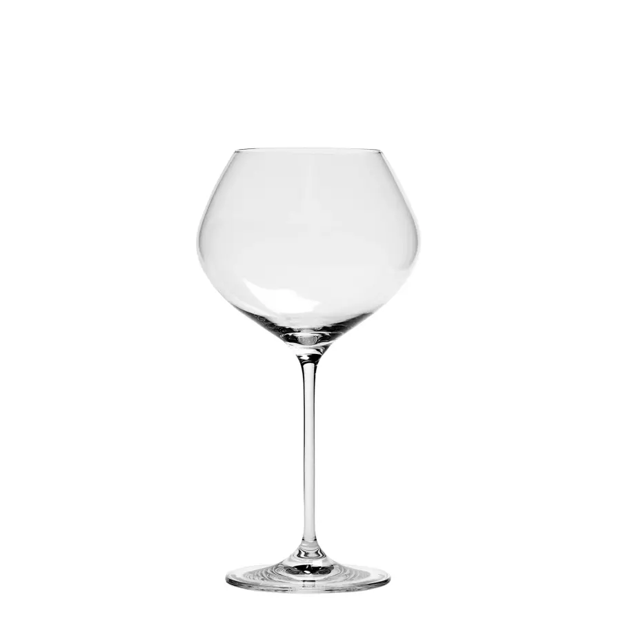 Eventi Barrel Aged Reds Wine Glass Set - Image 1
