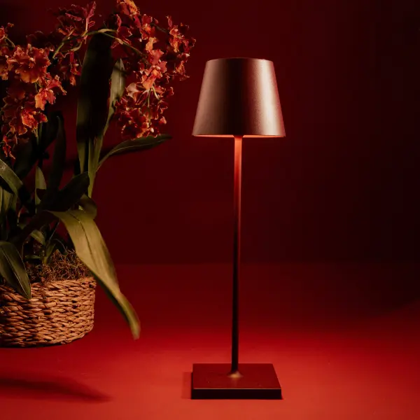 Poldina Pro Cordless Table Lamp - Image 31