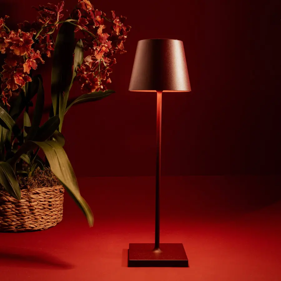 Poldina Pro Cordless Table Lamp - Image 31
