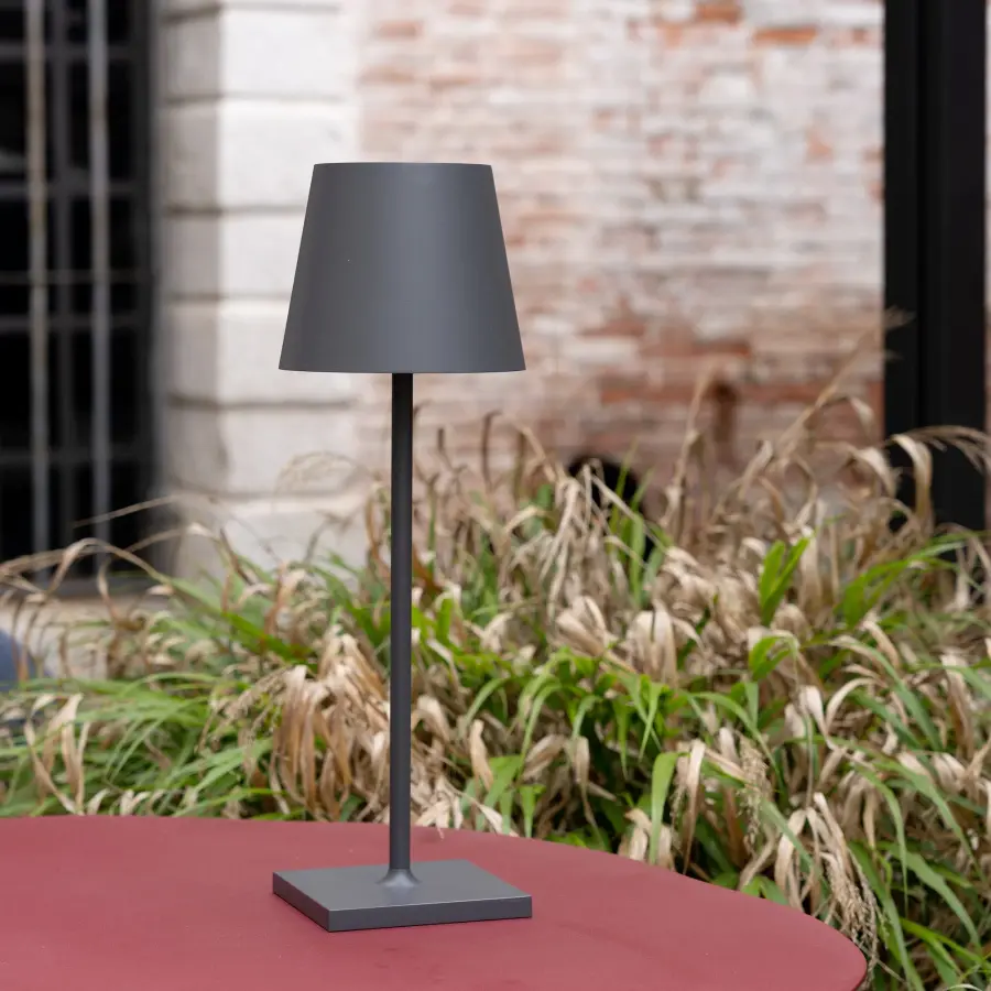 Poldina Pro L Desk Lamp - Image 8