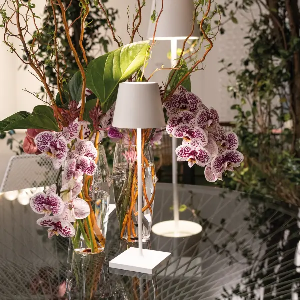Poldina Pro Micro Cordless Table Lamp - Image 3
