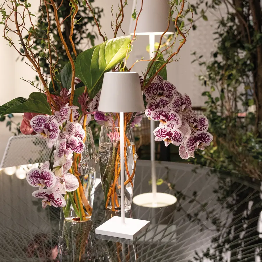 Poldina Pro Micro Cordless Table Lamp - Image 3