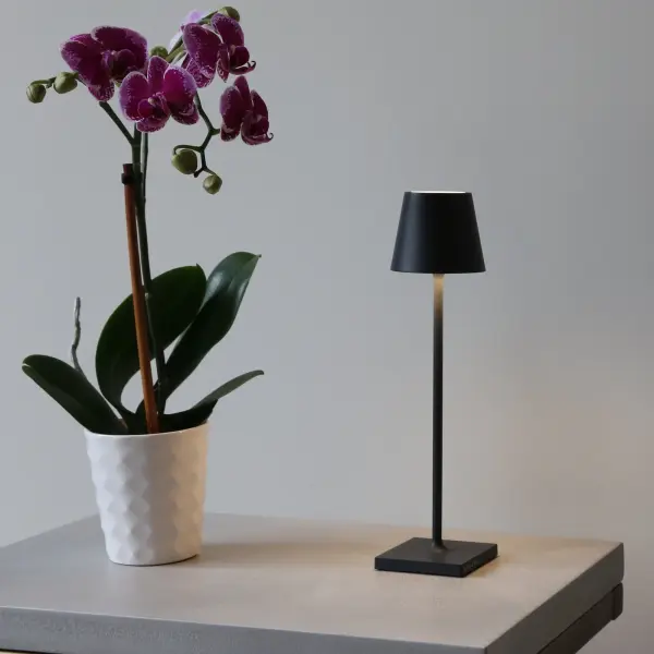 Poldina Pro Micro Cordless Table Lamp - Image 6