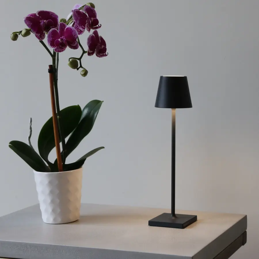 Poldina Pro Micro Cordless Table Lamp - Image 6