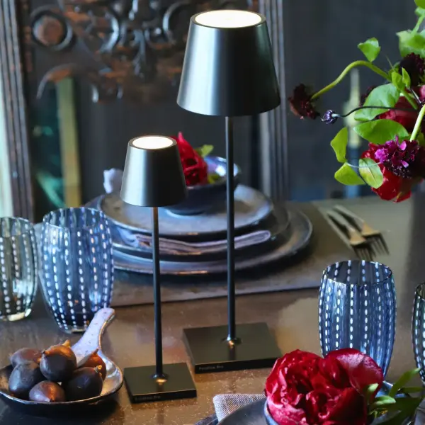 Poldina Pro Micro Cordless Table Lamp - Image 7