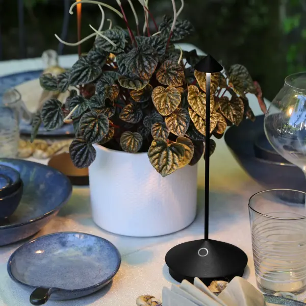 Pina Pro Cordless Table Lamp - Image 9