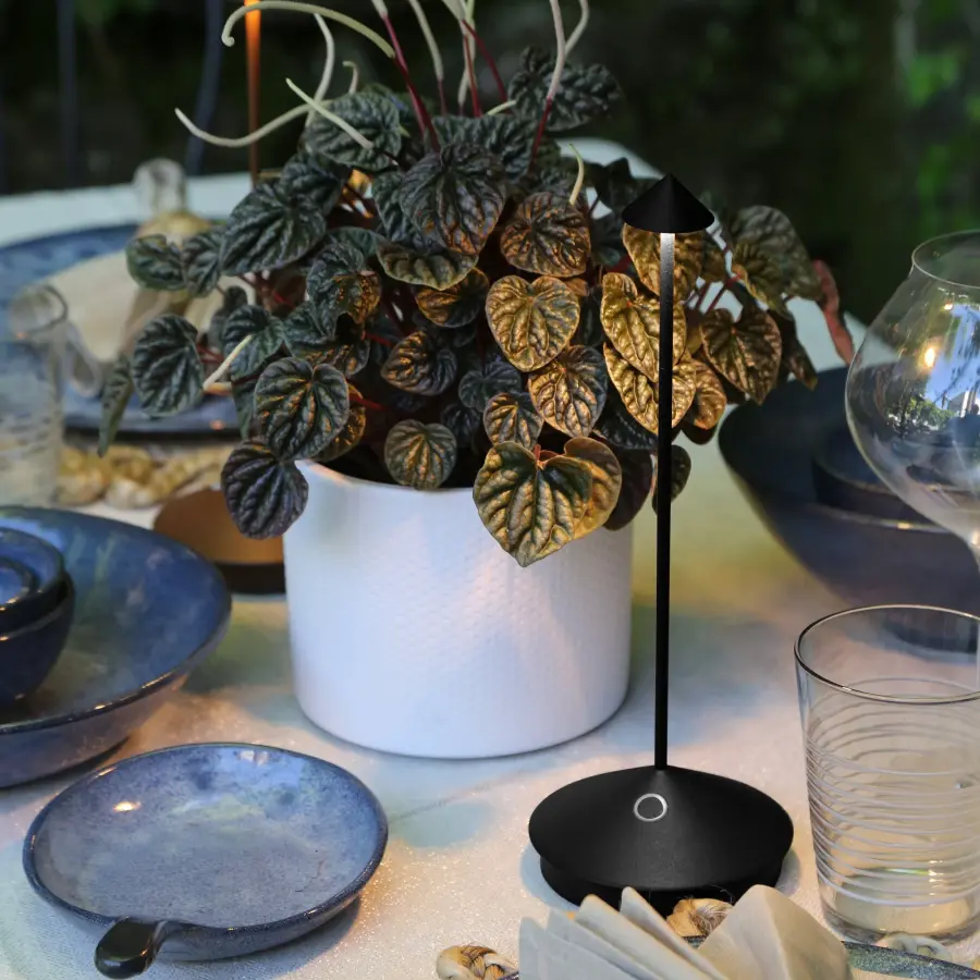 Pina Pro Cordless Table Lamp - Image 9
