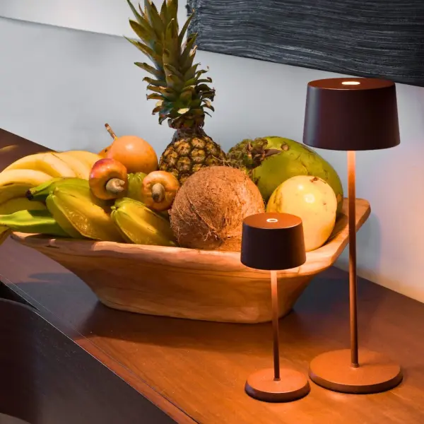 The Olivia Pro combines portability with sophisticated lighting control. Its rechargeable battery, touch dimming, and adjustable color temperature make it ideal for both indoor and outdoor settings without cord constraints. - alternate view