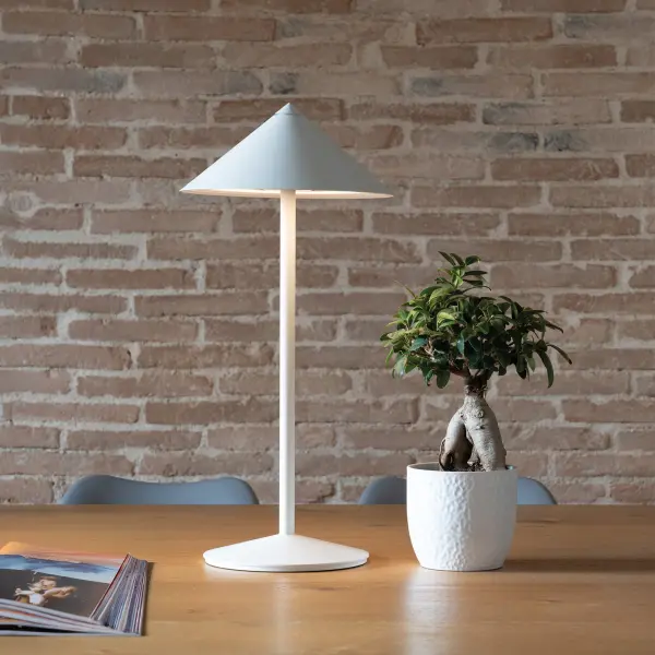 Pina L Desk Lamp - Image 3