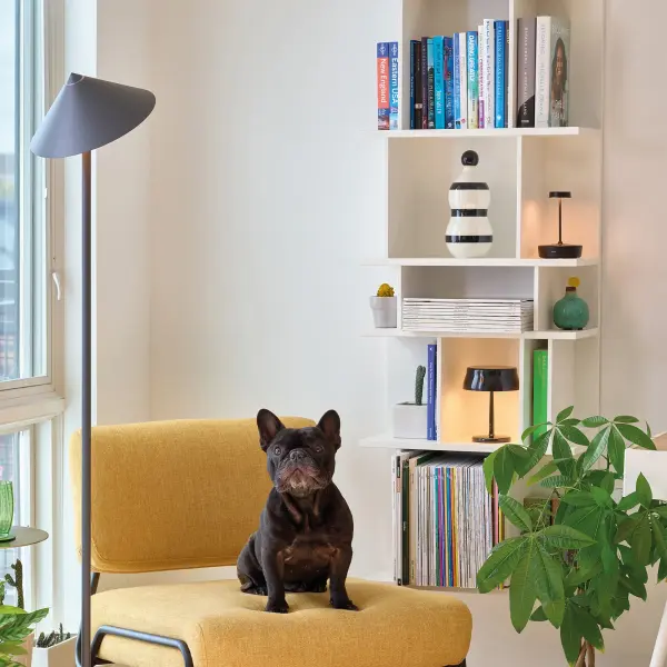 Pina XXL Cordless Floor Lamp - Image 5