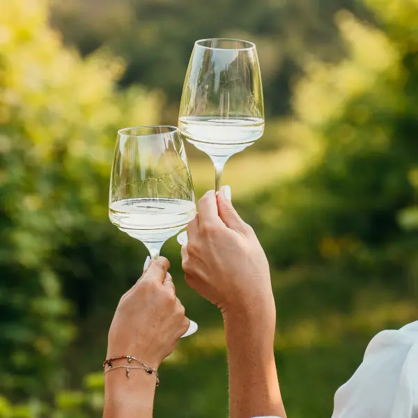 Esperienze Sauvignon Blanc Wine Glasses (Set of 2) - Image 3