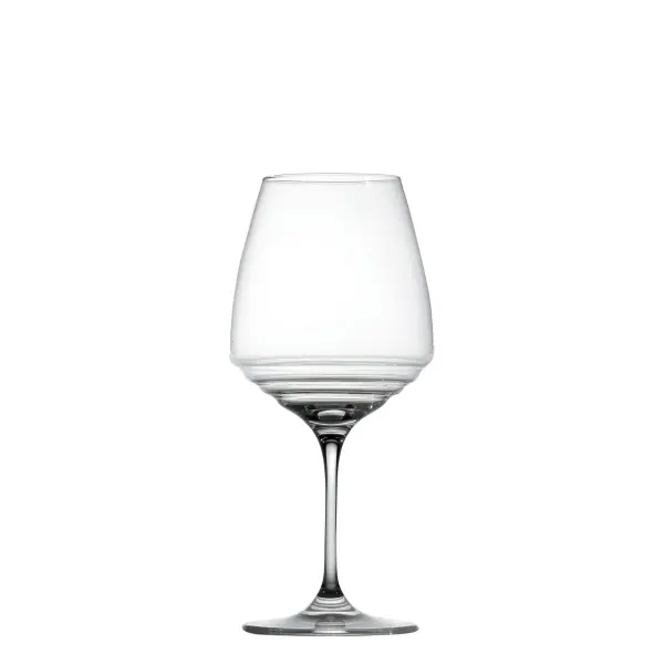 Esperienze Pinot Noir & Amarone Wine Glasses (Set of 2) - Image 1
