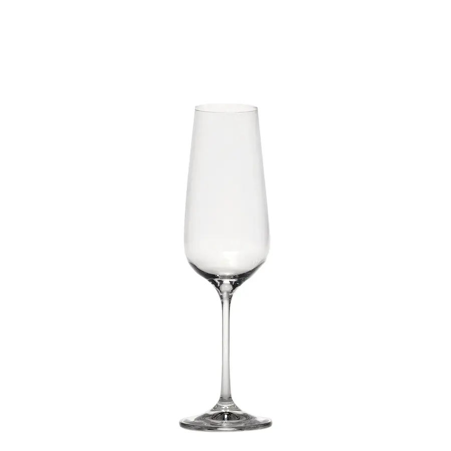 Scaligero Champagne Flute Set - Image 1