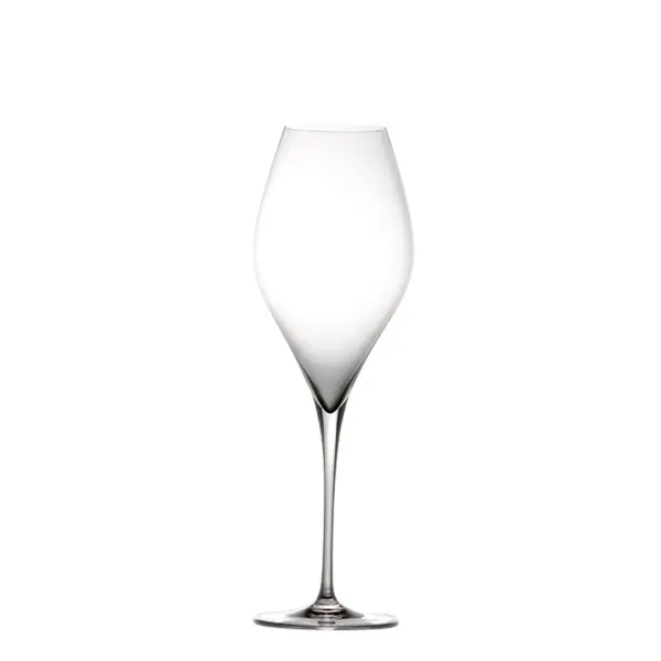 VEM Sparkling & White Wine Glasses Set of 6 - Image 1