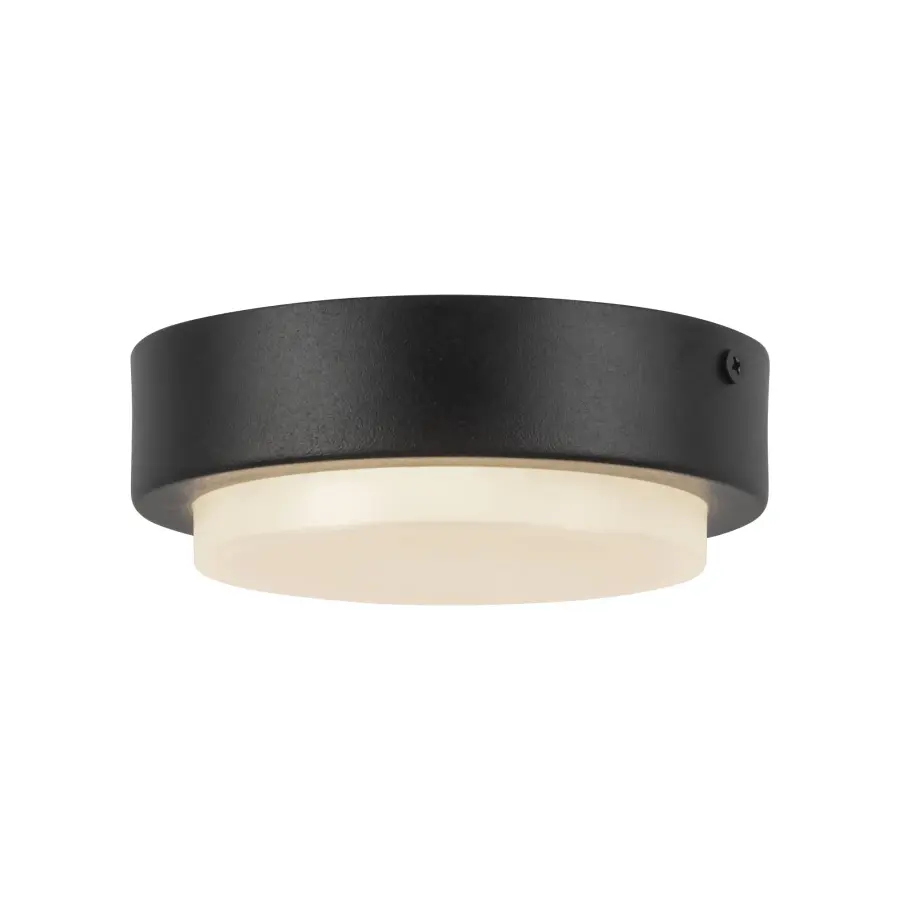 Bailey LED Outdoor Ceiling Mount in Black