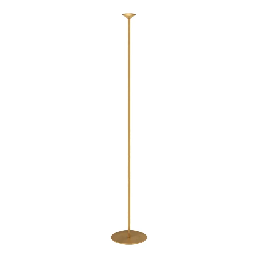 Valor LED Floor Lamp in Black