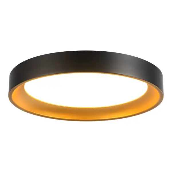 The Nix 9-inch flush mount combines ultra-slim design with mixed metal elegance. Its integrated LED and 5-color temperature selection (2700K-5000K) make it perfect for spaces needing versatile, energy-efficient lighting. - alternate view