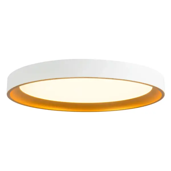 The Nix 12-inch flush mount combines ultra-slim design with mixed metal elegance. Integrated LED with selectable color temperature (2700K-5000K) offers versatility for any space, while the white and gold finish adds contemporary sophistication.