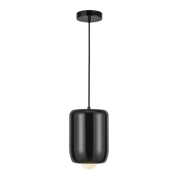 The Hayden pendant combines smooth organic curves with minimalist globe design, creating a striking yet versatile fixture. Its integrated LED and glossy black finish make it perfect for contemporary spaces seeking stylish simplicity.