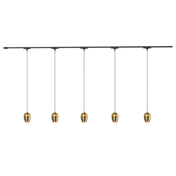The Eloa brings modern elegance to track lighting with five wine glass-shaped pendants. Each head features integrated LED (3000K or 4000K) and 120 inches of adjustable wire for custom configurations in kitchens, dining areas, and commercial spaces.