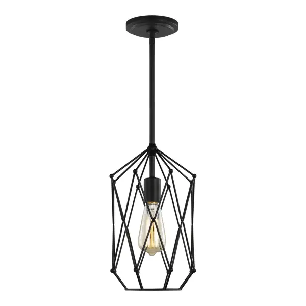 Zarra One Light Lantern in Midnight Black