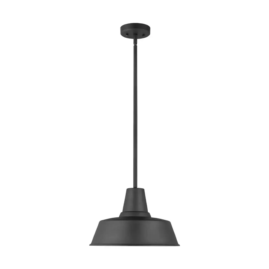 Barn Light One Light Outdoor Pendant in Black
