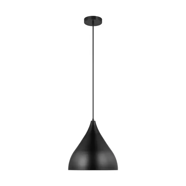 Oden One Light Pendant in Midnight Black