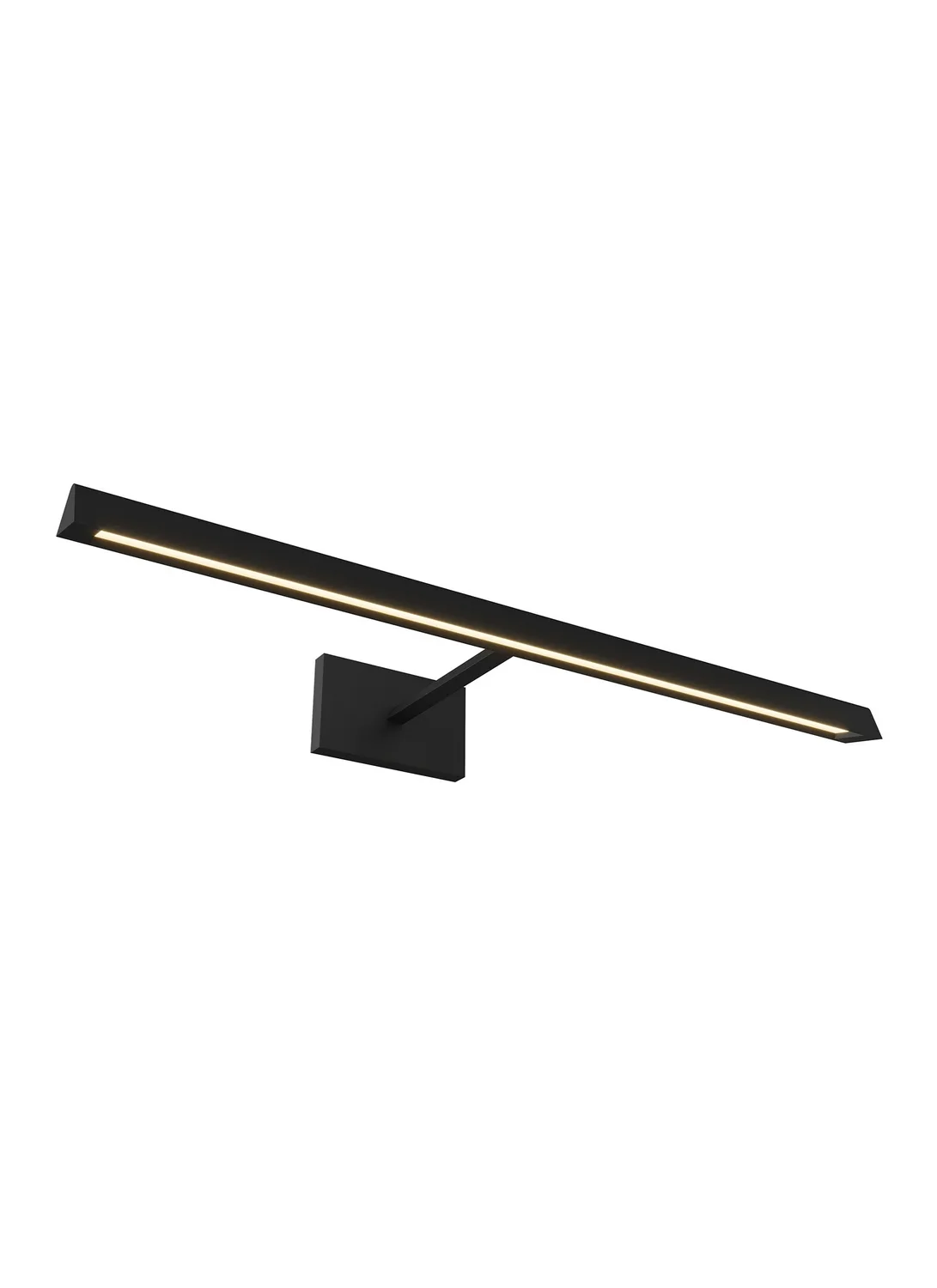 Dessau 24" LED Picture Light in Nightshade Black