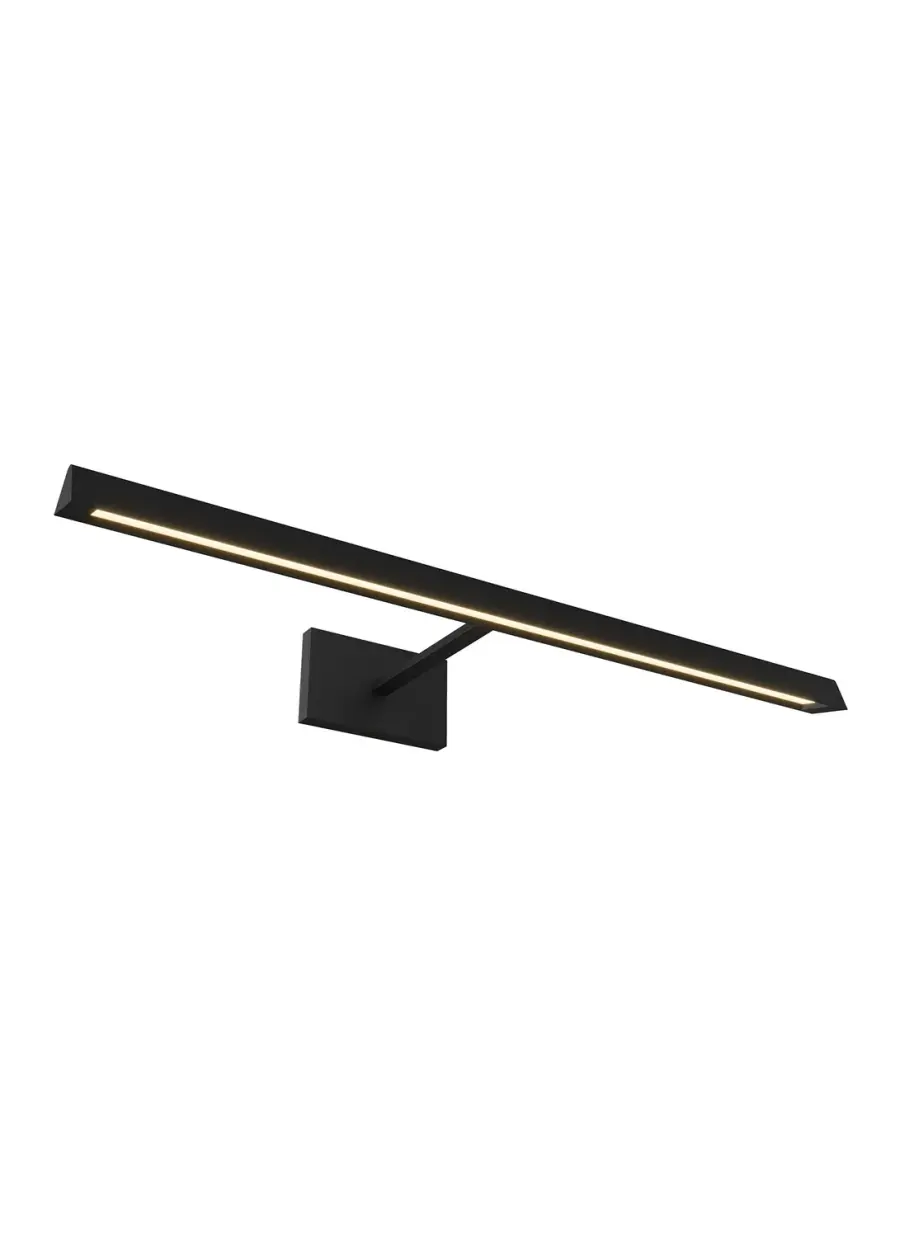 Dessau 24" LED Picture Light in Nightshade Black