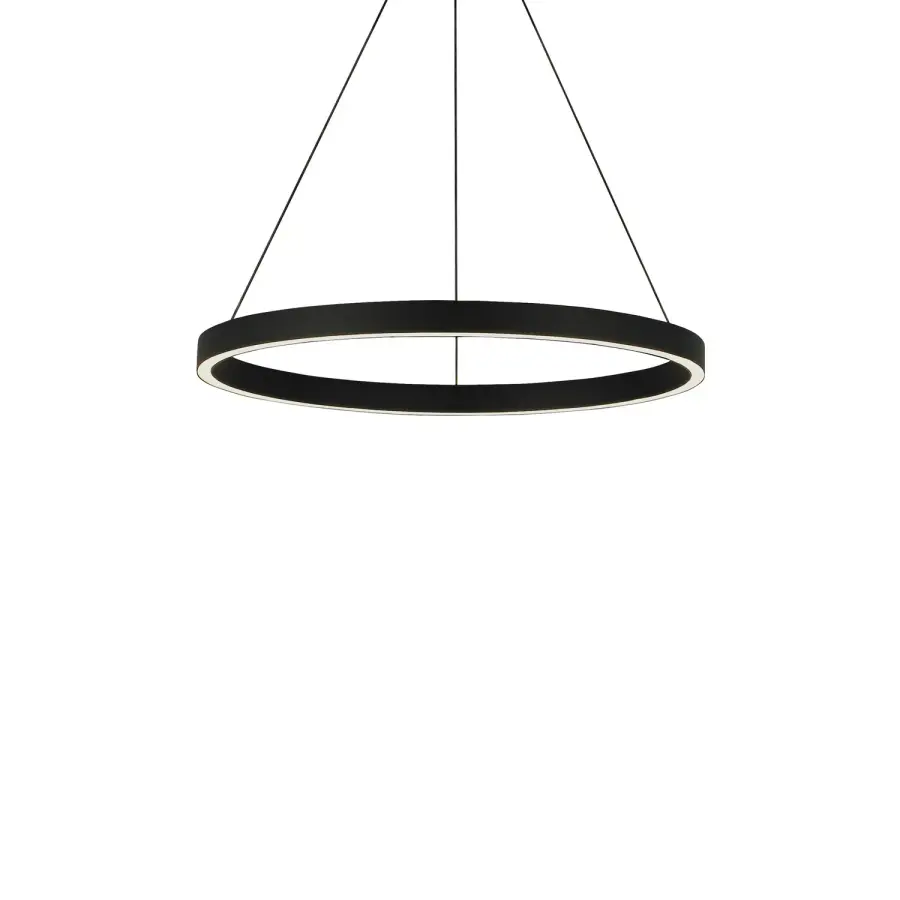 Fiama 24" LED Ring Chandelier in Black