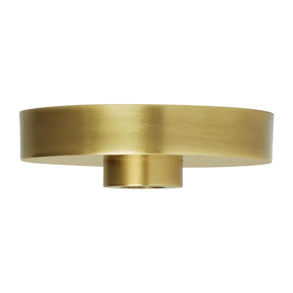 5" Line-Voltage Shallow Canopy in Natural Brass