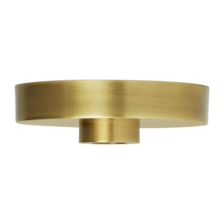 5" Line-Voltage Shallow Canopy in Natural Brass