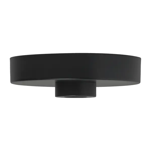 5" Line-Voltage Shallow Canopy in Nightshade Black