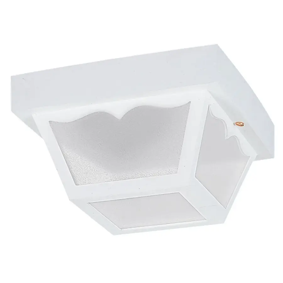 Outdoor Ceiling 2-Light Flush Mount in White