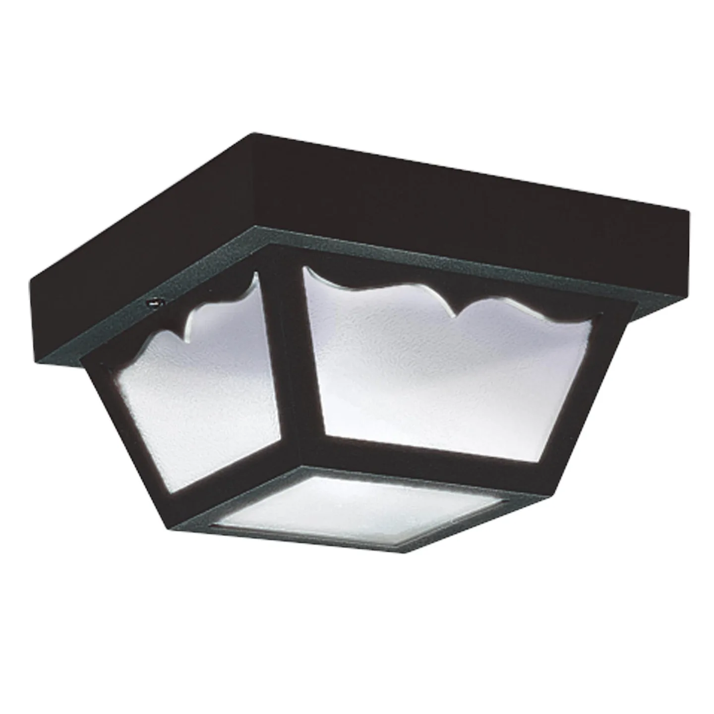 Outdoor Ceiling 2-Light Flush Mount in Textured Black