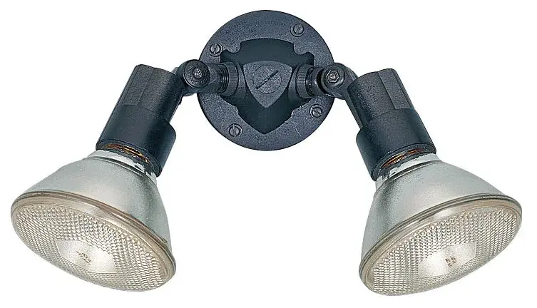 Two Light Adjustable Swivel Flood Light
