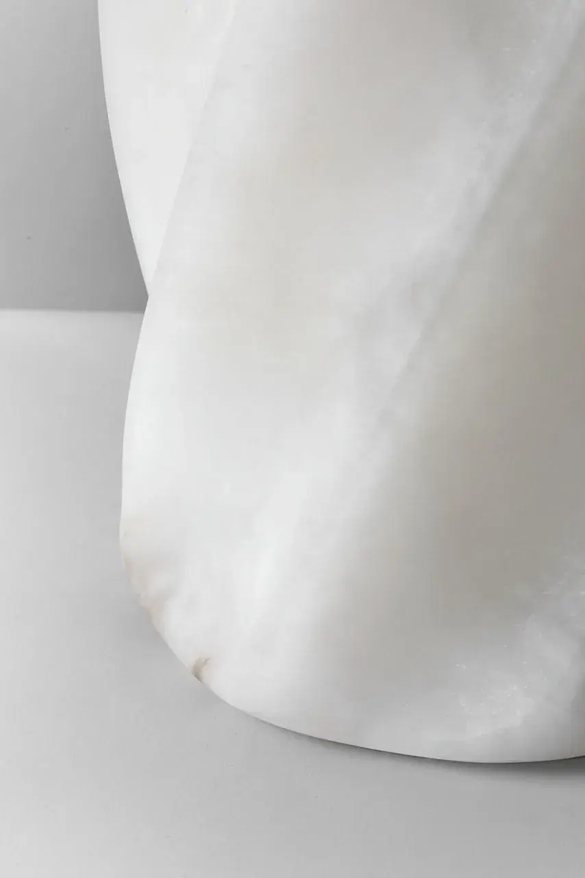 Elegant Alabaster Table Lamp with Sculptural Torsade Base - Image 7