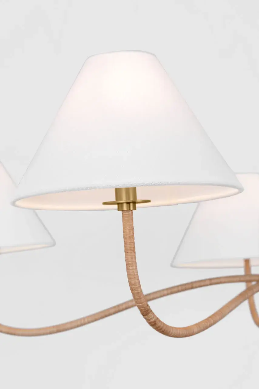 Laguna Five Light Chandelier in Burnished Brass - Image 5