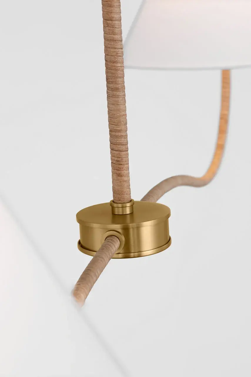 Laguna Two Light Linear Chandelier in Burnished Brass - Image 5
