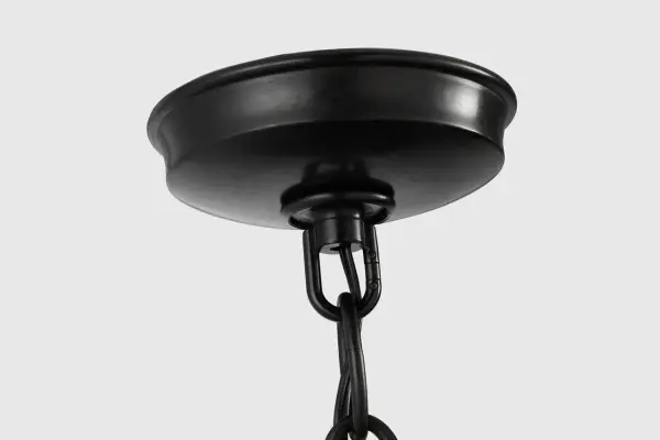 Astra 24" Sculpted Chandelier in Aged Iron - Image 14