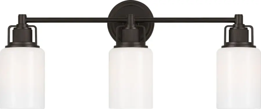Ashford 24" Bath Vanity Light in Aged Iron - Image 1