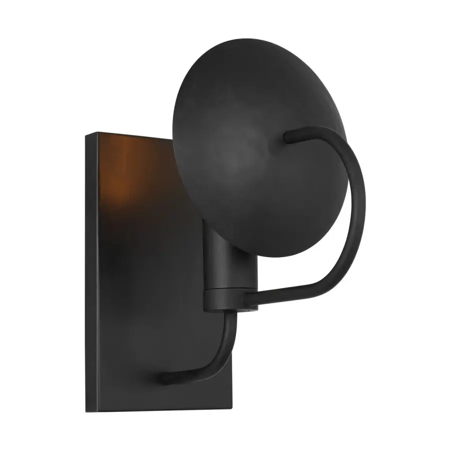 Whare One Light Wall Sconce in Aged Iron