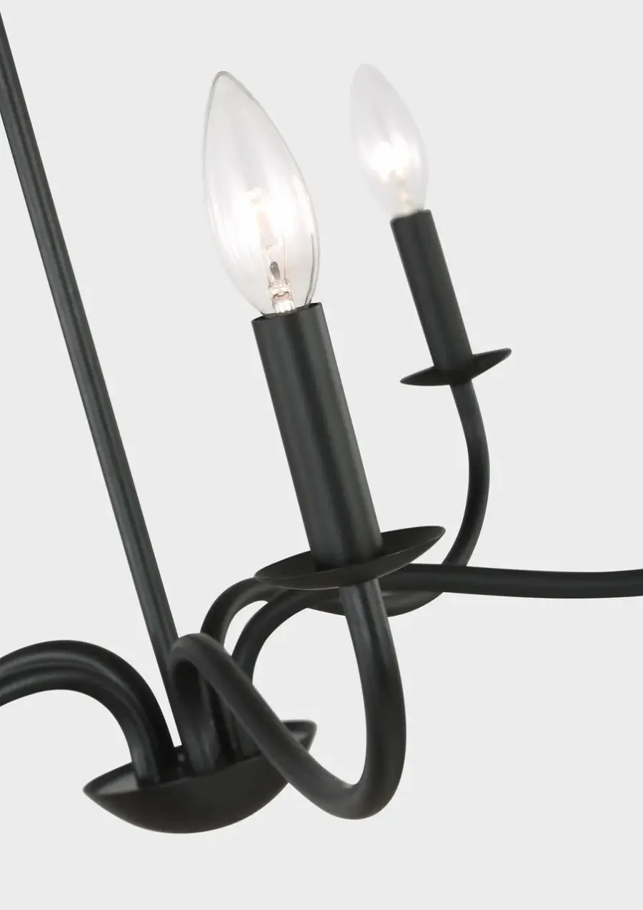 Abells Five Light Chandelier in Midnight Black - Image 4