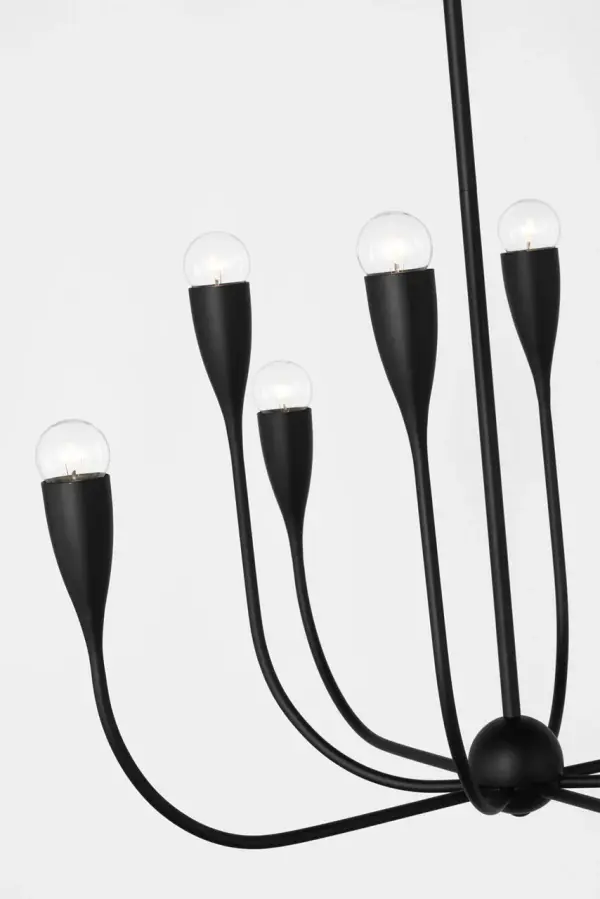 Maya Eight Light Chandelier in Midnight Black - Image 3