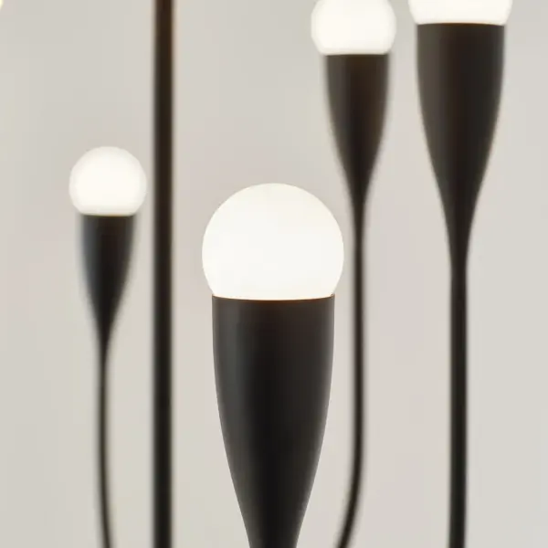 Maya Eight Light Chandelier in Midnight Black - Image 5