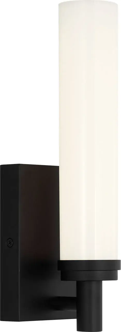 Coles 13" LED Vanity Light in Midnight Black - Image 1