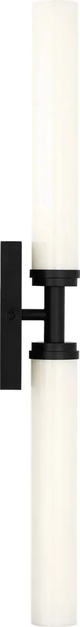 Coles 30" LED Vanity Light in Midnight Black - Image 6
