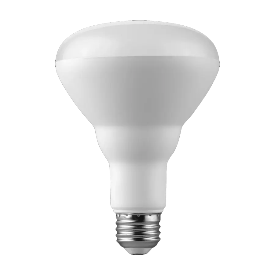 BR30 LED Bulb 9W 2700K Frosted